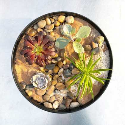 Centerpiece Succulent Workshop - Image 2